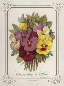 Boeket bloemen door English School